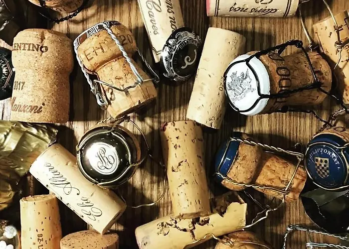 Domus - Centro Storico Apartmán La Morra